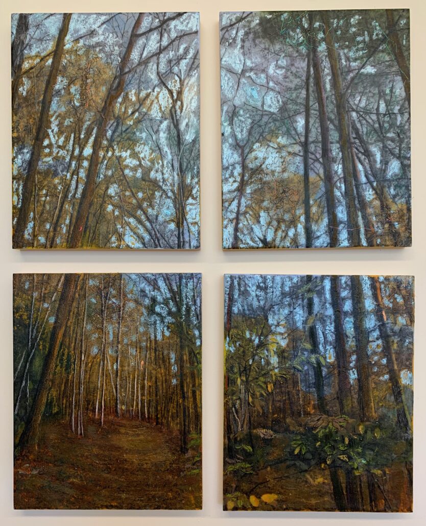 "Forest Quadriptych", Four pieces become one, encaustic and mixed media landscape by Stephanie Gordon